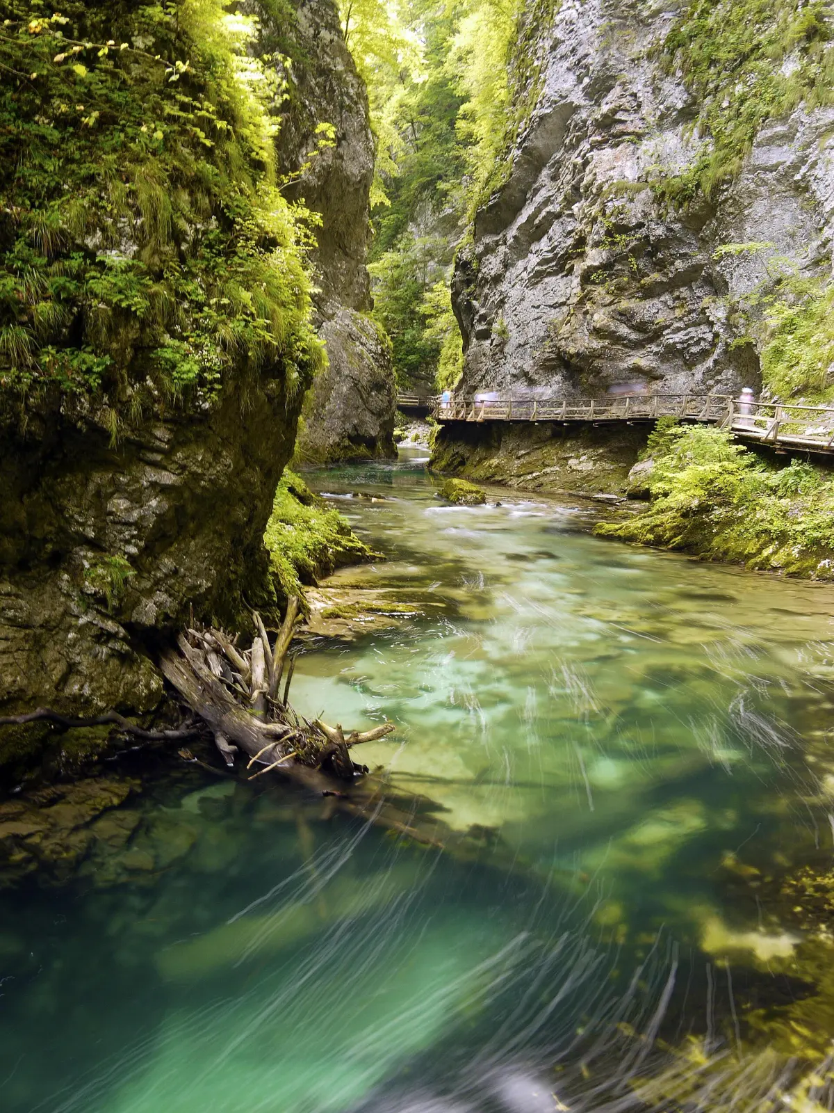 Boardwalk through Vintgar Gorge